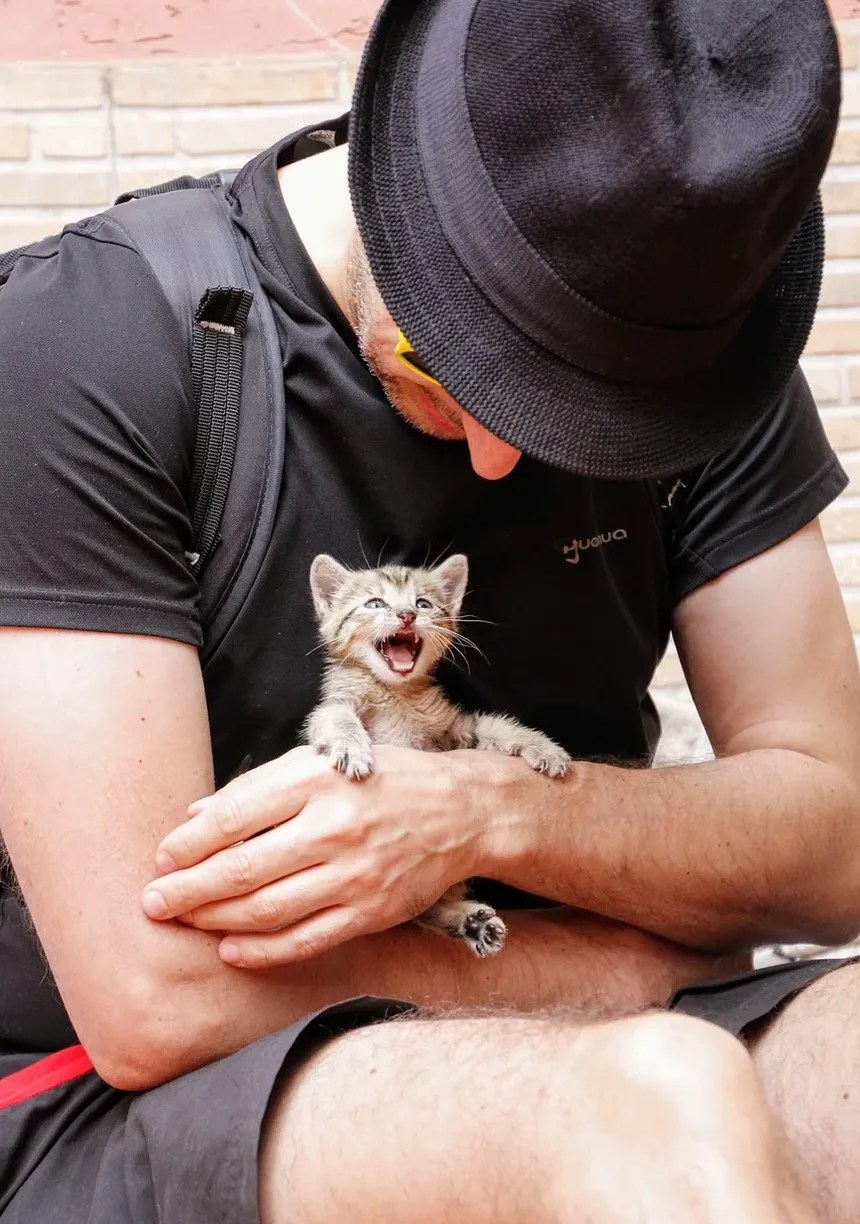 Como Manter as Unhas do Meu Gato Limpas: Um Guia Completo