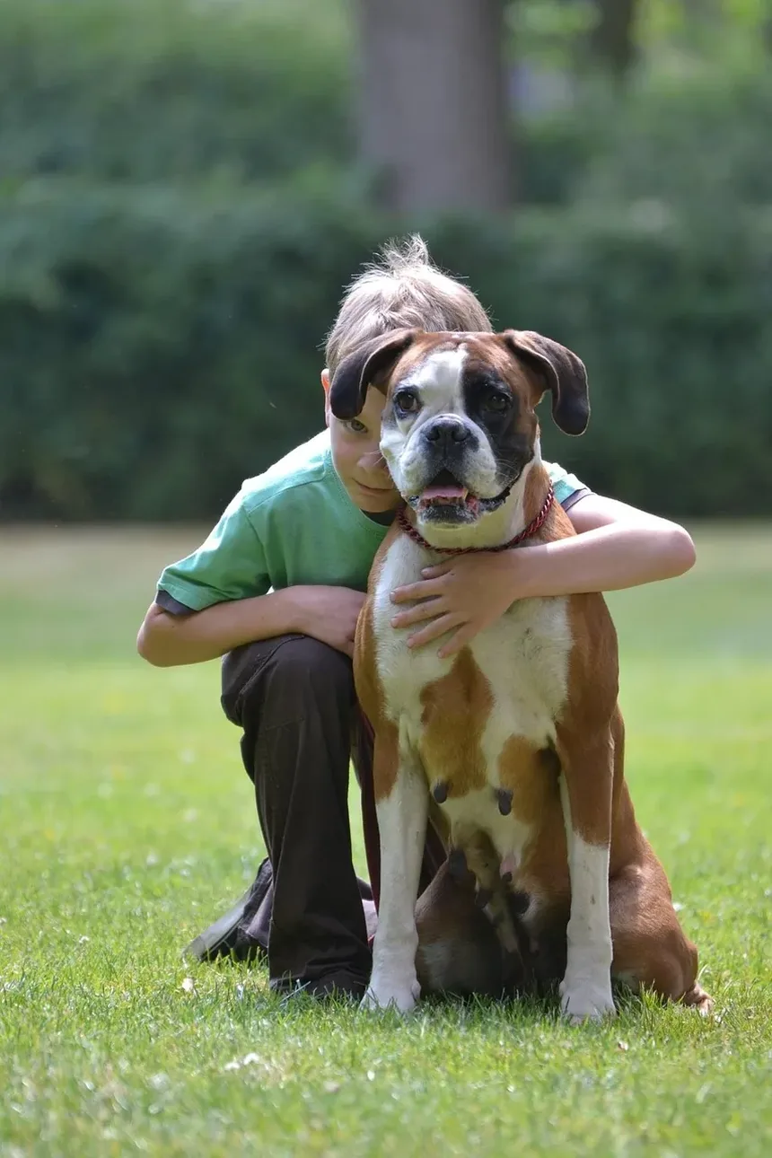 Como Sedar Seu Cão para Cortar as Unhas: Um Guia Completo